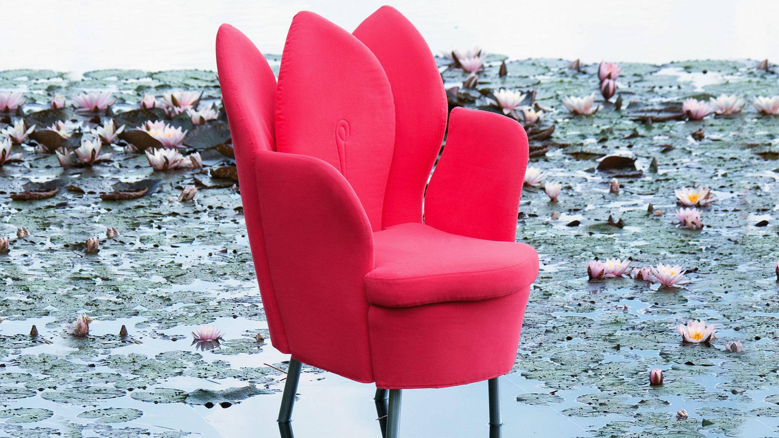 brühl morning dew blütensessel