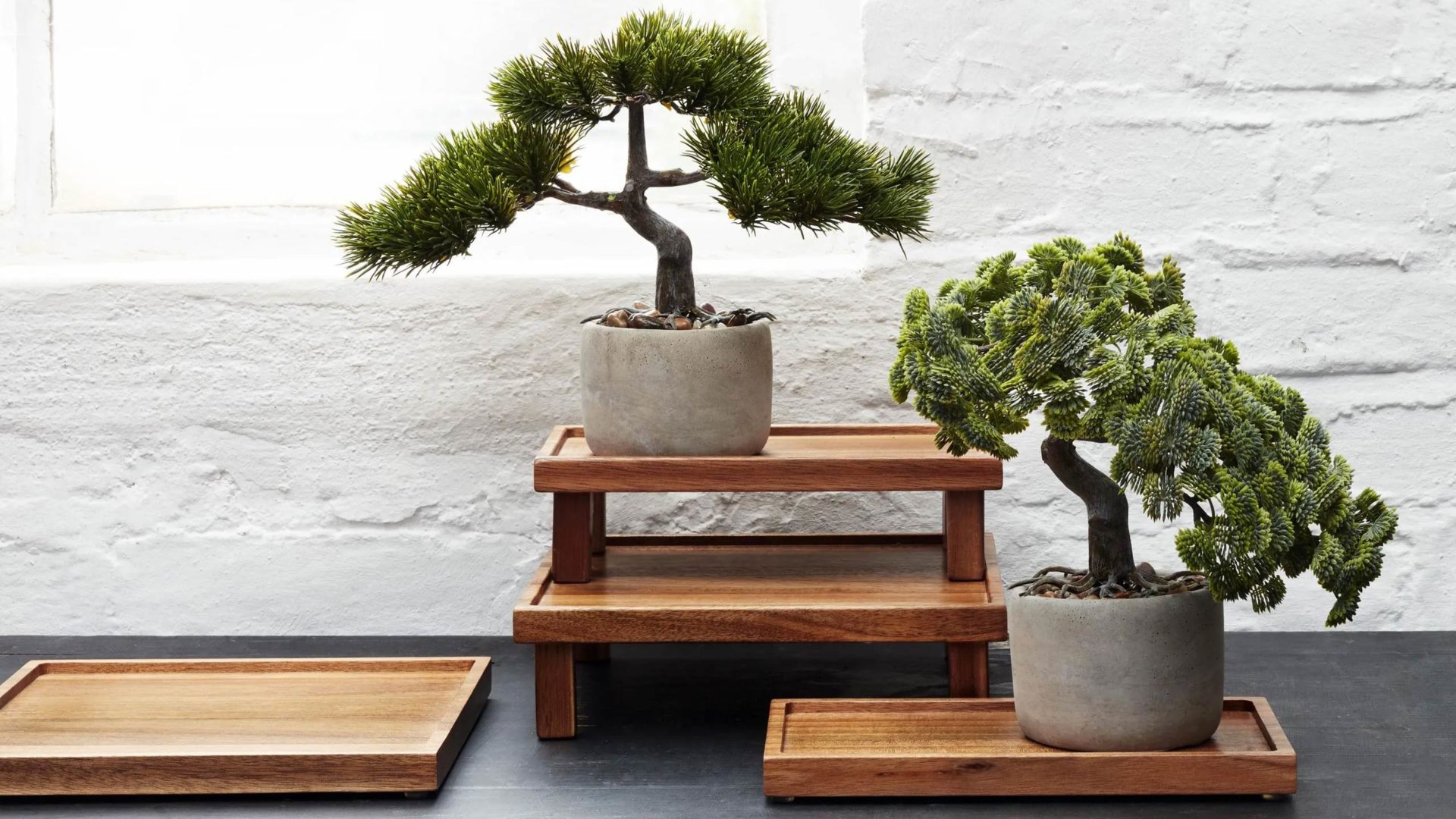 asa bonsai kunstpflanzen auf tabletts